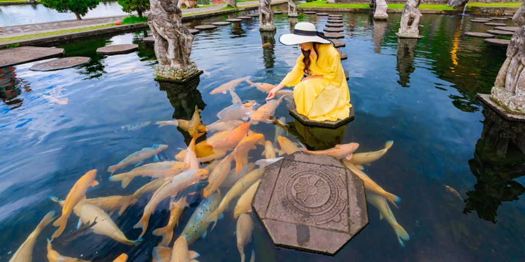 Lady feeding koi fish in her Tampa koi pond.