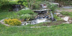 Beautiful outdoor koi fish pond in Apollo Beach, Florida