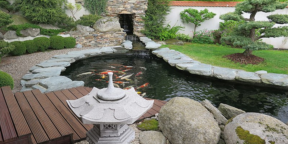 Stunning backyard koi pond with oriental theme