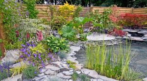 Marginal Pond Plants: Benefits and Care