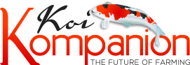 KoiKompanion Logo