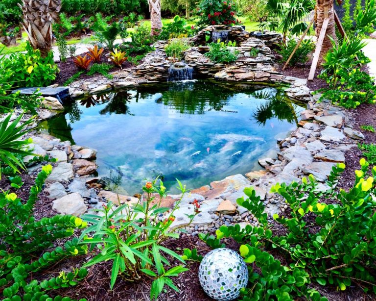 How to Keep Your Koi Pond Clean & Algae-Free - Koi Kompanion - Koi Pond