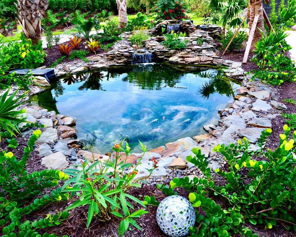 Beautiful koi pond surrounded by lush greenery and stone landscaping.